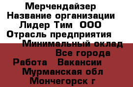 Мерчендайзер › Название организации ­ Лидер Тим, ООО › Отрасль предприятия ­ BTL › Минимальный оклад ­ 17 000 - Все города Работа » Вакансии   . Мурманская обл.,Мончегорск г.